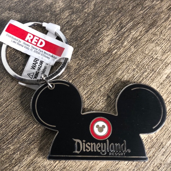 Disney Accessories - Disneyland Keychain